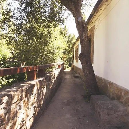 Petit De Lindas Casas